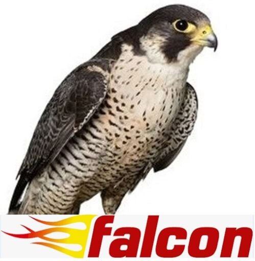 FALCON MOTOR